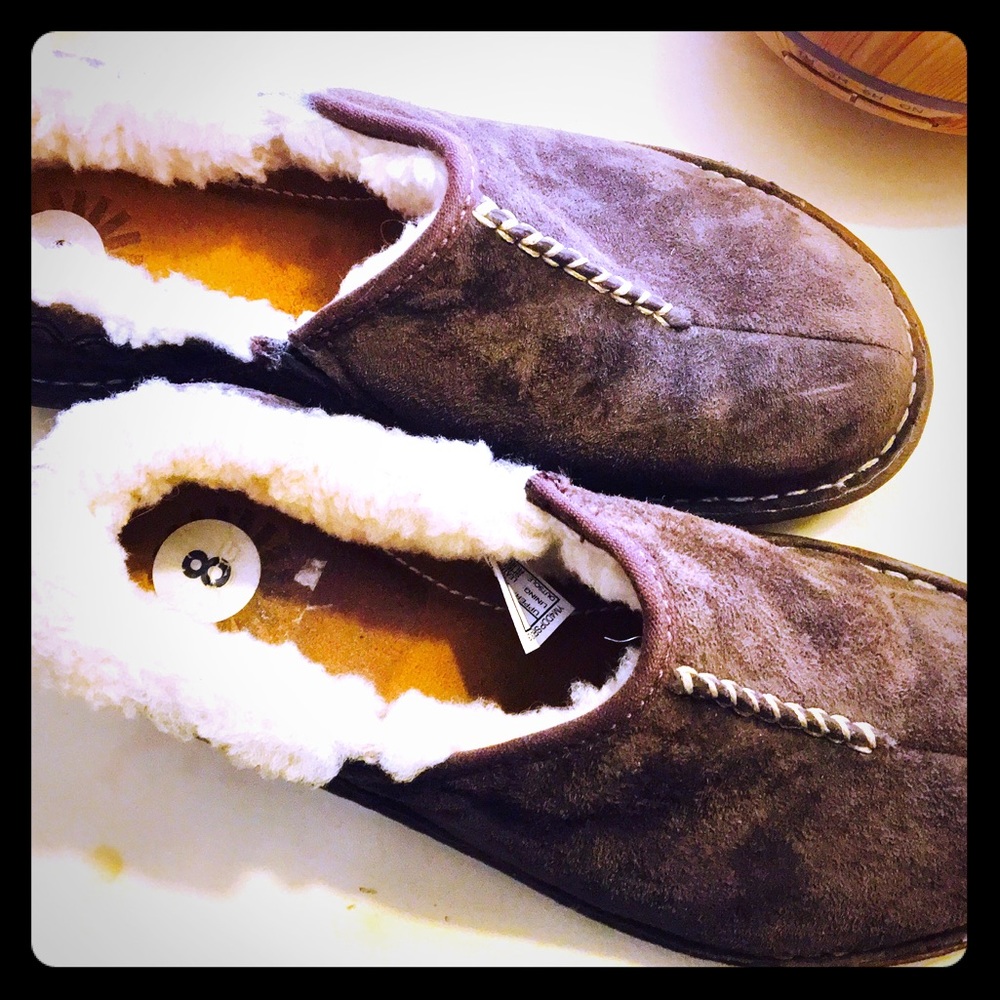 Chocolate Brown Ugg